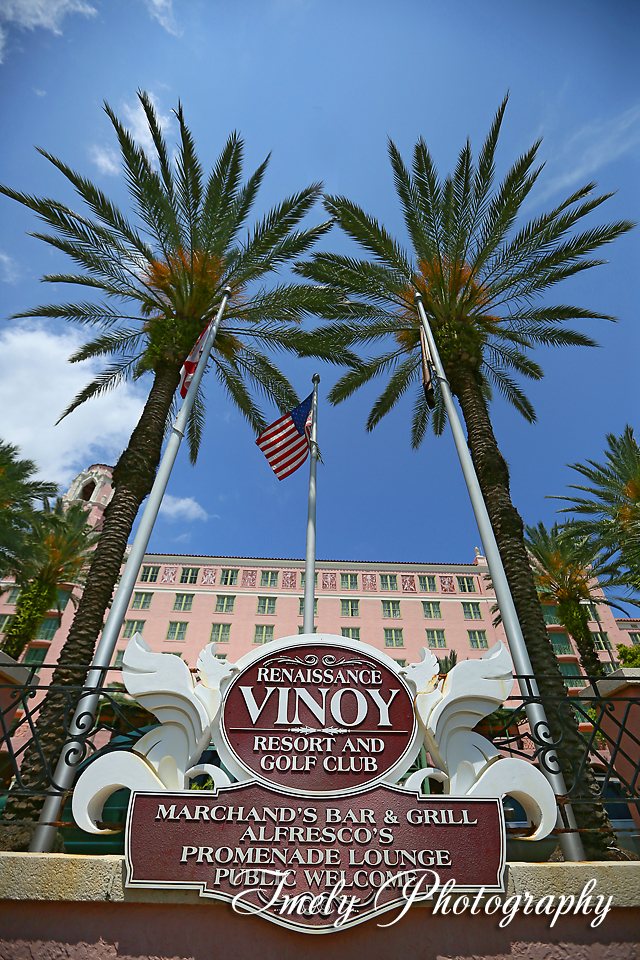 Amazing Wedding at The Vinoy in Saint Petersburg Florida Imely